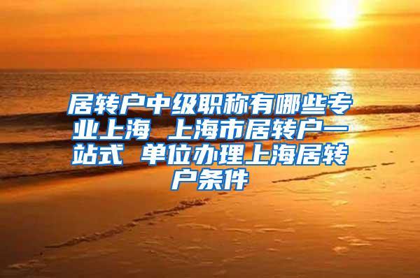居转户中级职称有哪些专业上海 上海市居转户一站式 单位办理上海居转户条件