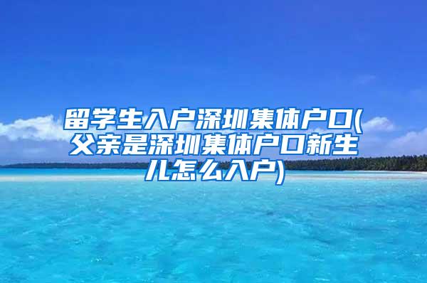 留学生入户深圳集体户口(父亲是深圳集体户口新生儿怎么入户)