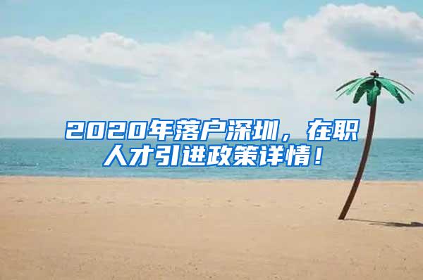 2020年落户深圳，在职人才引进政策详情！