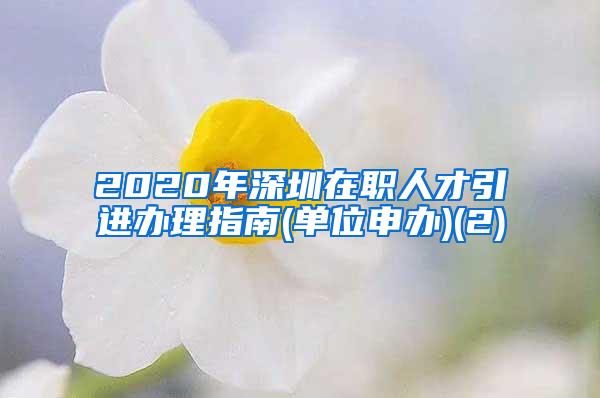 2020年深圳在职人才引进办理指南(单位申办)(2)
