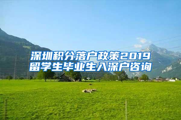 深圳积分落户政策2019留学生毕业生入深户咨询