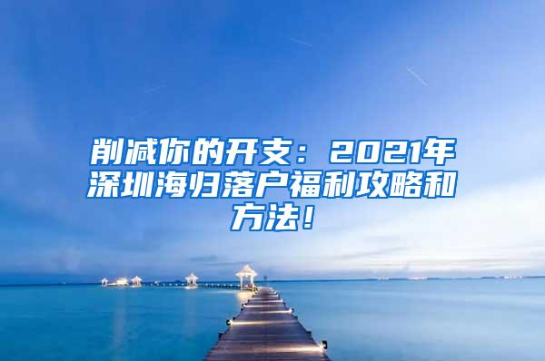 削减你的开支：2021年深圳海归落户福利攻略和方法！