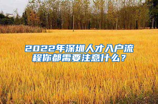 2022年深圳人才入户流程你都需要注意什么？