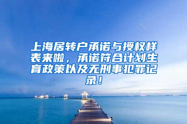 上海居转户承诺与授权样表来啦，承诺符合计划生育政策以及无刑事犯罪记录！