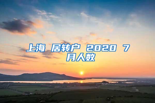 上海 居转户 2020 7 月人数