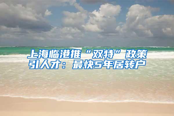 上海临港推“双特”政策引人才：最快5年居转户