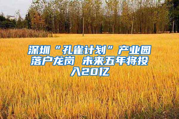 深圳“孔雀计划”产业园落户龙岗 未来五年将投入20亿