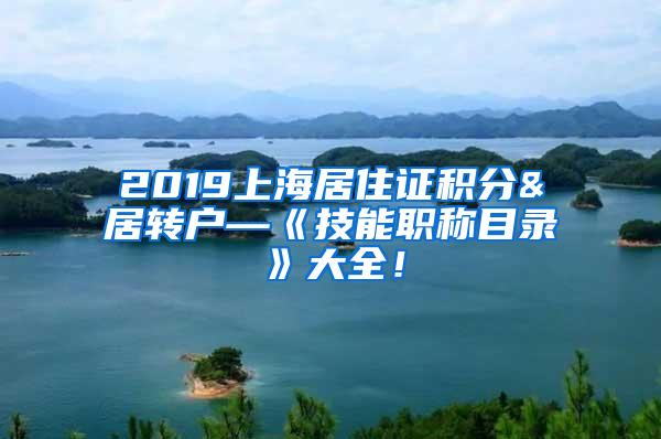 2019上海居住证积分&居转户—《技能职称目录》大全！