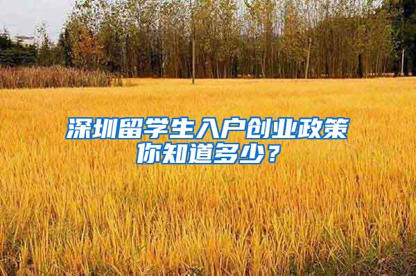 深圳留学生入户创业政策你知道多少？