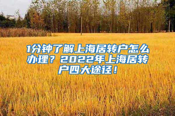 1分钟了解上海居转户怎么办理？2022年上海居转户四大途径！