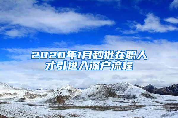 2020年1月秒批在职人才引进入深户流程