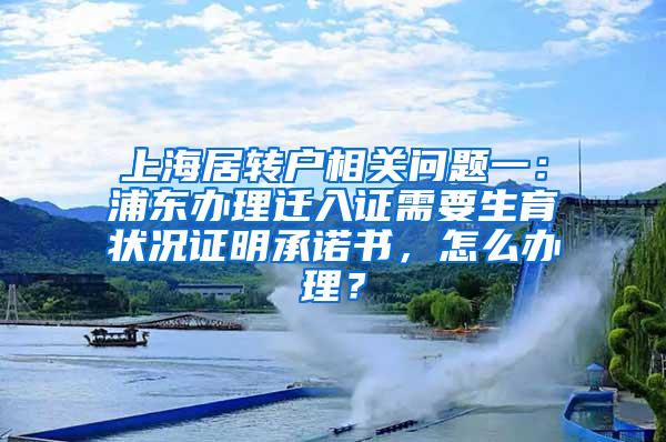 上海居转户相关问题一：浦东办理迁入证需要生育状况证明承诺书，怎么办理？