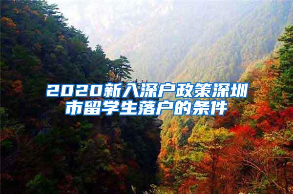 2020新入深户政策深圳市留学生落户的条件
