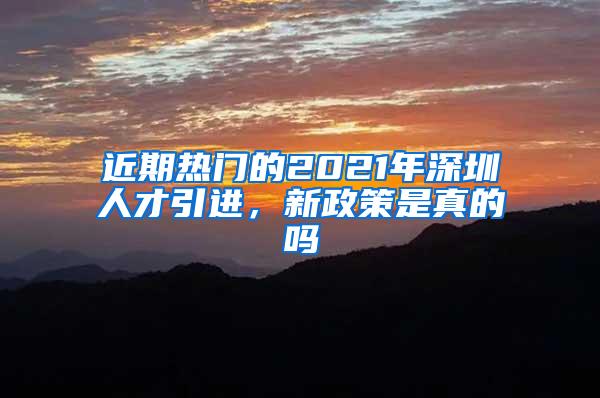 近期热门的2021年深圳人才引进，新政策是真的吗