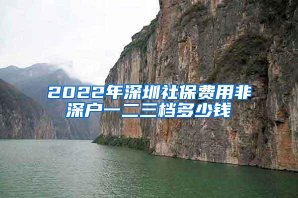 2022年深圳社保费用非深户一二三档多少钱