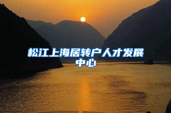 松江上海居转户人才发展中心