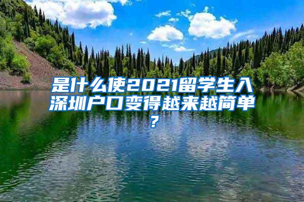 是什么使2021留学生入深圳户口变得越来越简单？