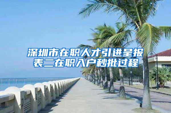 深圳市在职人才引进呈报表二在职入户秒批过程
