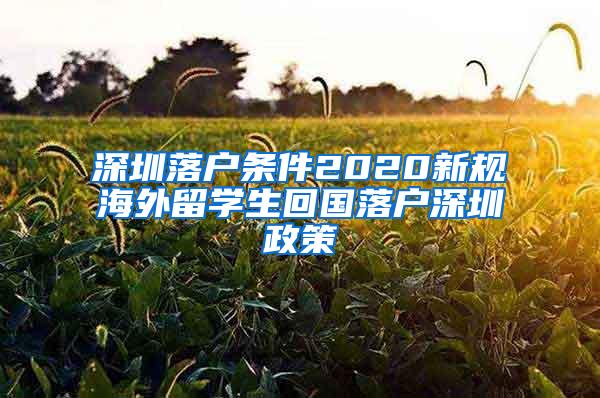 深圳落户条件2020新规海外留学生回国落户深圳政策