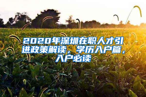 2020年深圳在职人才引进政策解读，学历入户篇，入户必读