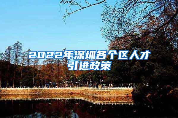 2022年深圳各个区人才引进政策