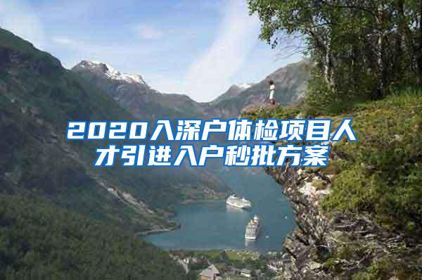 2020入深户体检项目人才引进入户秒批方案