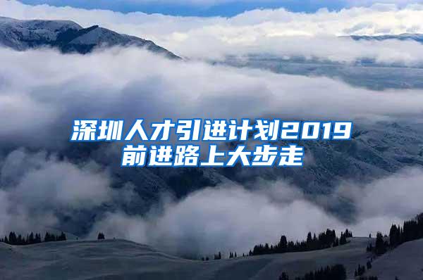 深圳人才引进计划2019前进路上大步走