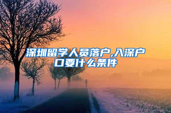 深圳留学人员落户,入深户口要什么条件