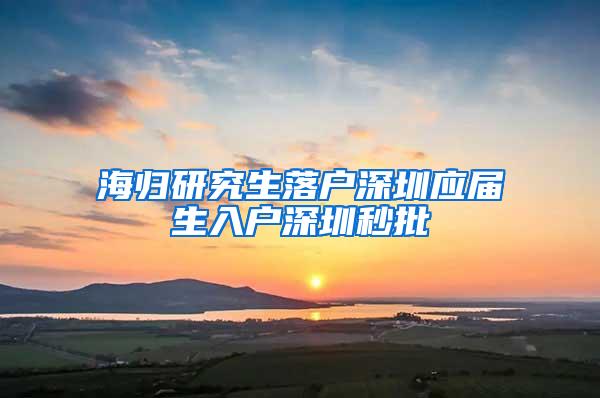 海归研究生落户深圳应届生入户深圳秒批