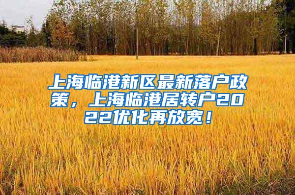 上海临港新区最新落户政策，上海临港居转户2022优化再放宽！
