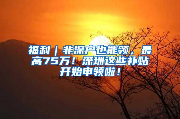 福利｜非深户也能领，最高75万！深圳这些补贴开始申领啦！