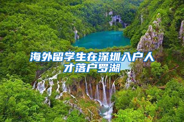 海外留学生在深圳入户人才落户罗湖