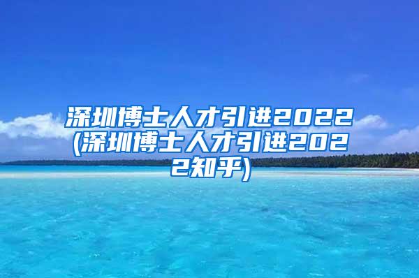 深圳博士人才引进2022(深圳博士人才引进2022知乎)