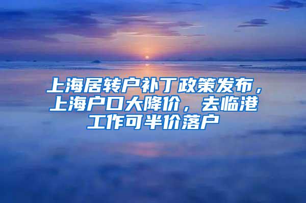 上海居转户补丁政策发布，上海户口大降价，去临港工作可半价落户