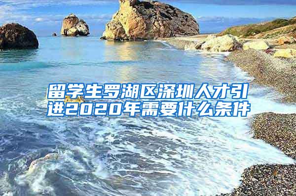 留学生罗湖区深圳人才引进2020年需要什么条件