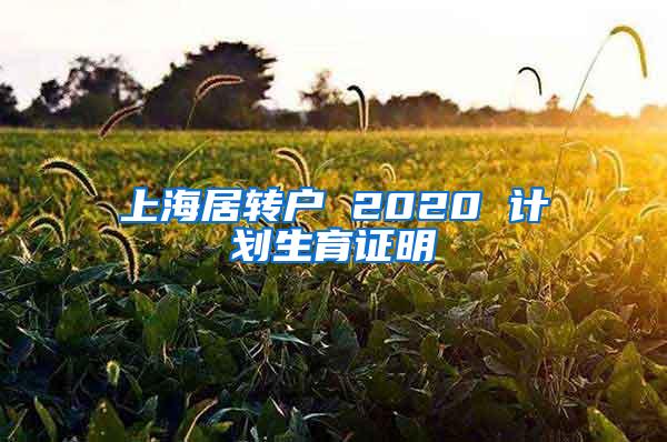 上海居转户 2020 计划生育证明