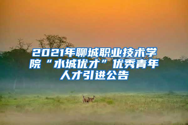 2021年聊城职业技术学院“水城优才”优秀青年人才引进公告