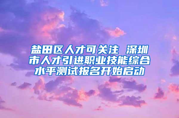 盐田区人才可关注 深圳市人才引进职业技能综合水平测试报名开始启动