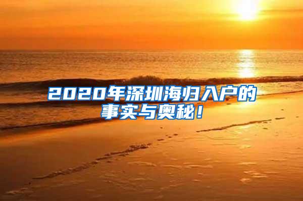 2020年深圳海归入户的事实与奥秘！