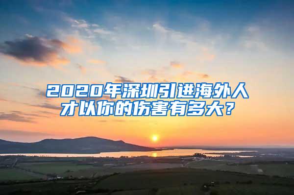 2020年深圳引进海外人才以你的伤害有多大？