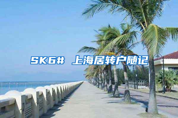 SK6# 上海居转户随记