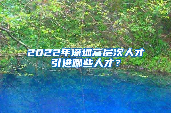 2022年深圳高层次人才引进哪些人才？