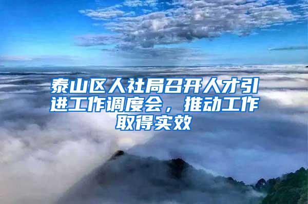 泰山区人社局召开人才引进工作调度会，推动工作取得实效