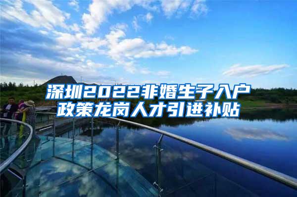 深圳2022非婚生子入户政策龙岗人才引进补贴