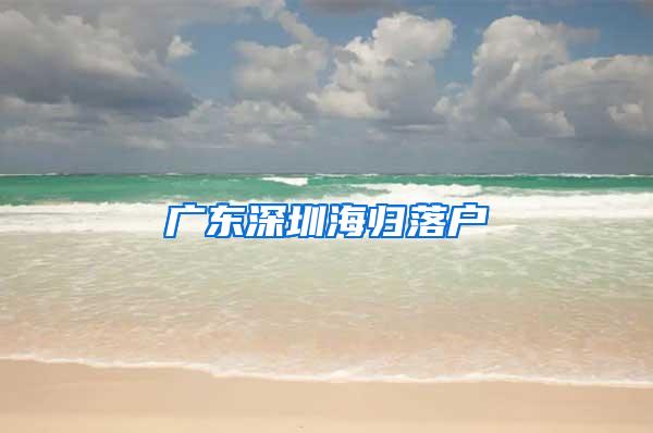 广东深圳海归落户