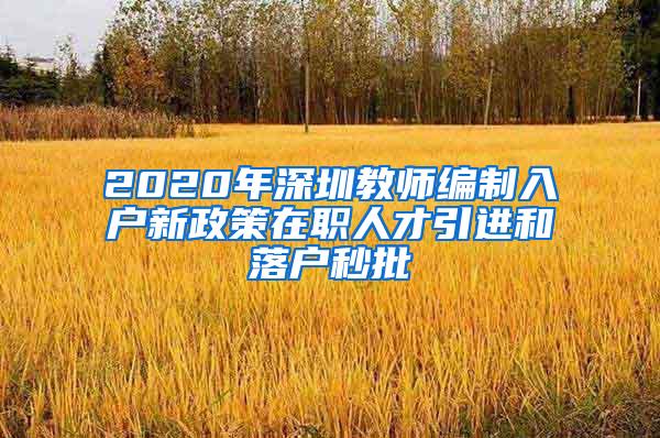 2020年深圳教师编制入户新政策在职人才引进和落户秒批