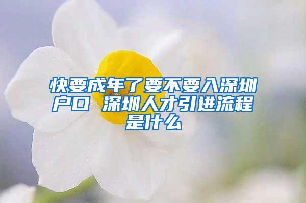 快要成年了要不要入深圳户口 深圳人才引进流程是什么