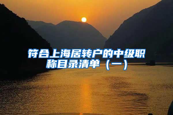 符合上海居转户的中级职称目录清单（一）