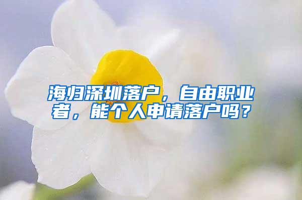 海归深圳落户，自由职业者，能个人申请落户吗？