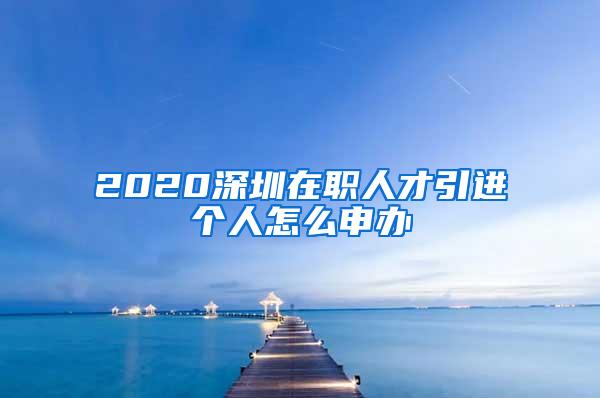 2020深圳在职人才引进个人怎么申办